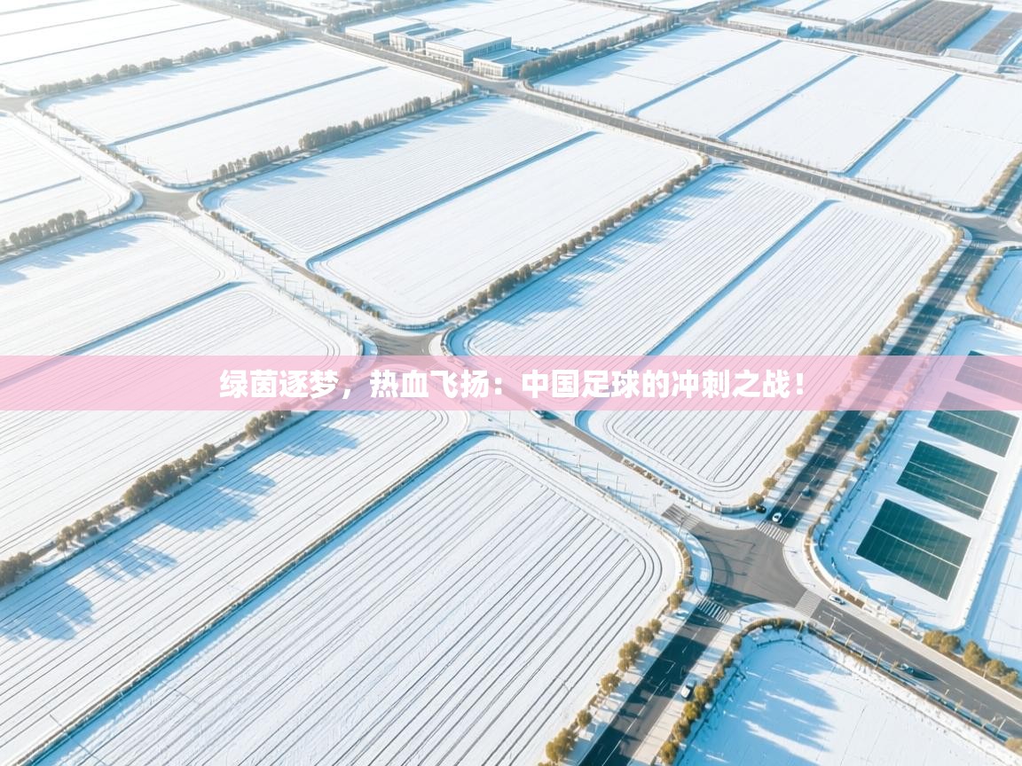绿茵逐梦，热血飞扬：中国足球的冲刺之战！  第2张